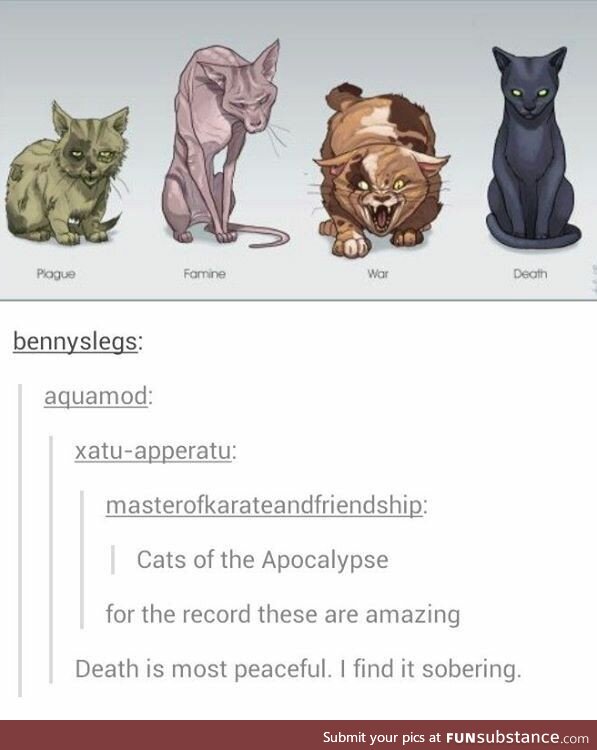 Cats of the apoclaypse