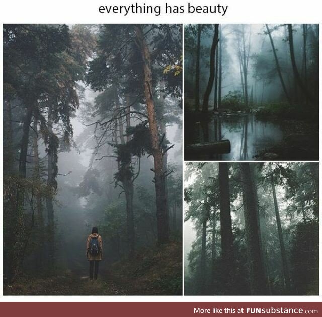 Everything has beauty