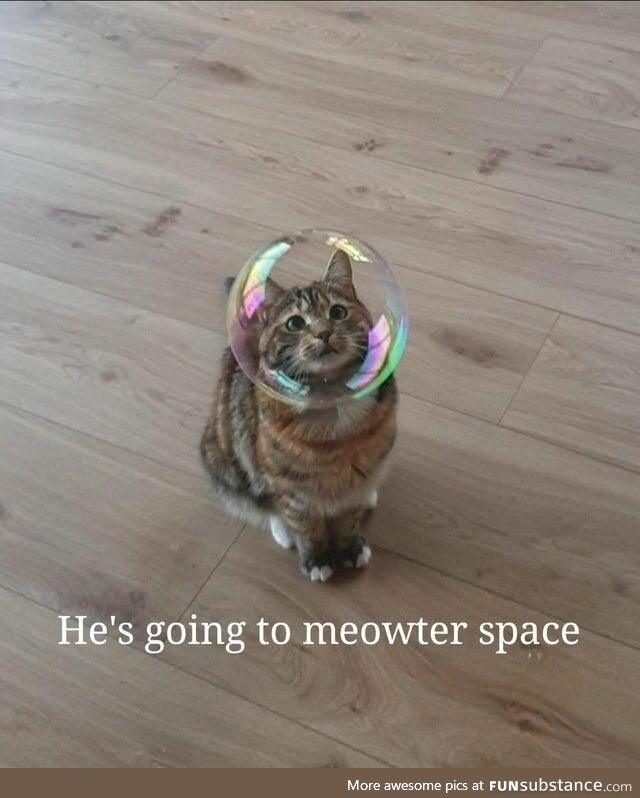 Meowter Space