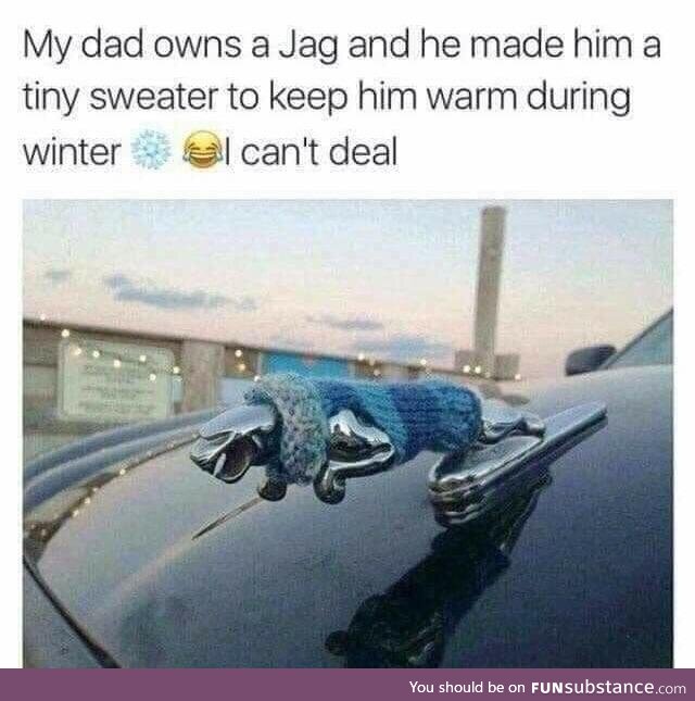 You Gotta Keep the Little Guy Warm