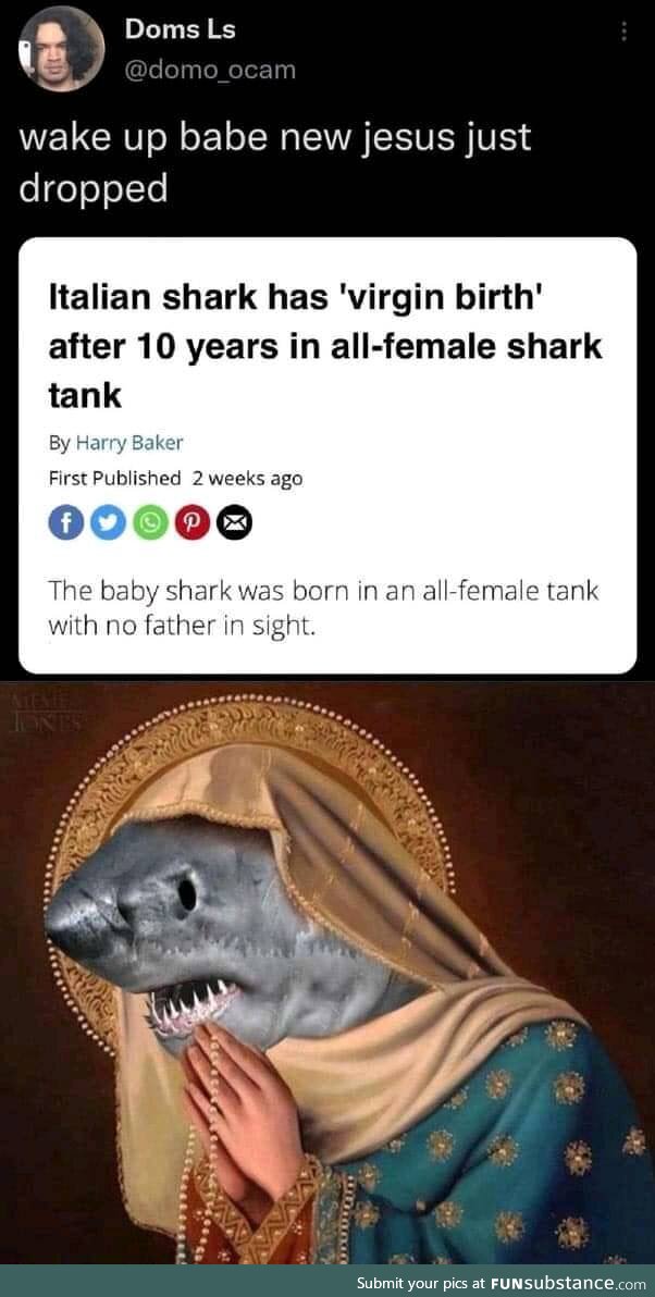 Shark Jesus is coming!