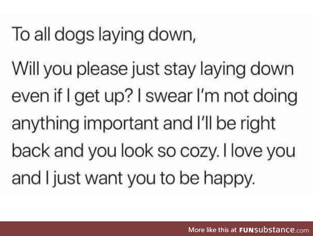 Dear doggos