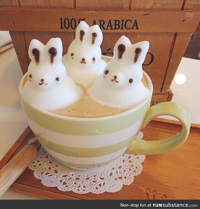 Coffee Art #40 - Bunnies