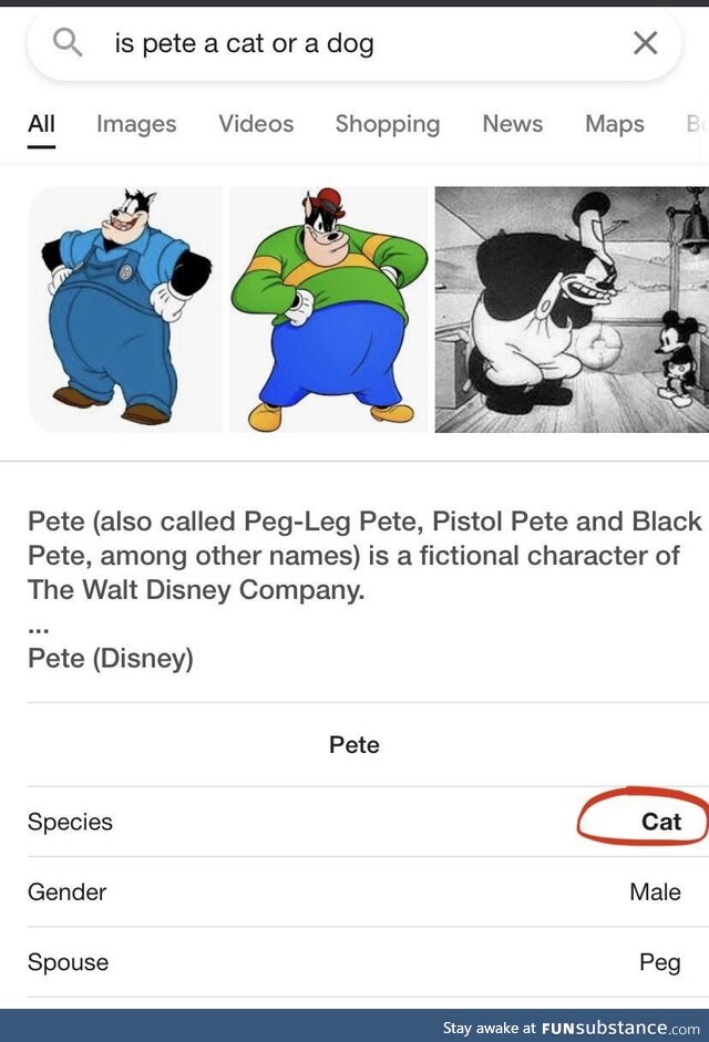 So you’re telling me pete is a cat?!