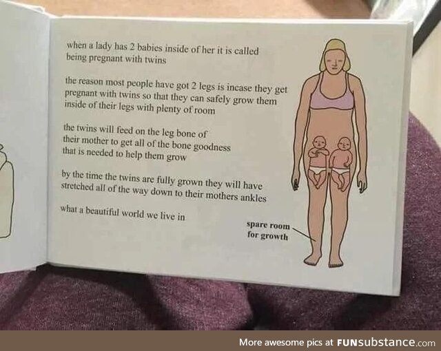 Pregnancy books nowadays are something else!