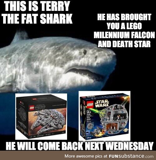 Shark Wars Episode VI: Return of the Terry