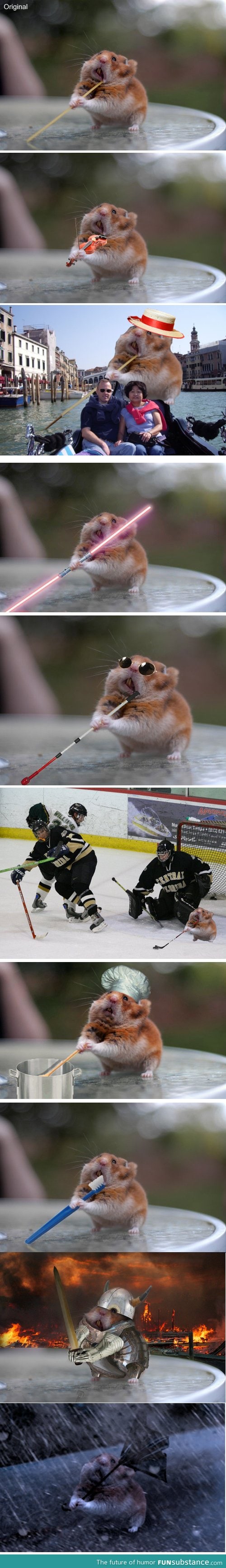 Spaghetti hamster photoshop battle