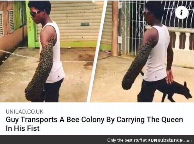 Just bee yourself