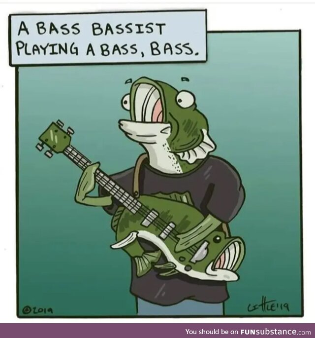 I'm not a bassist but ..