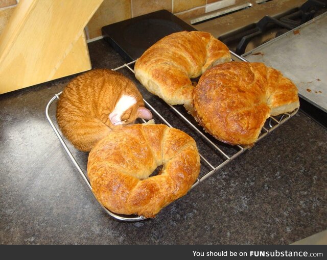 Who seriously puts WHIPPED CREAM on a croissant?