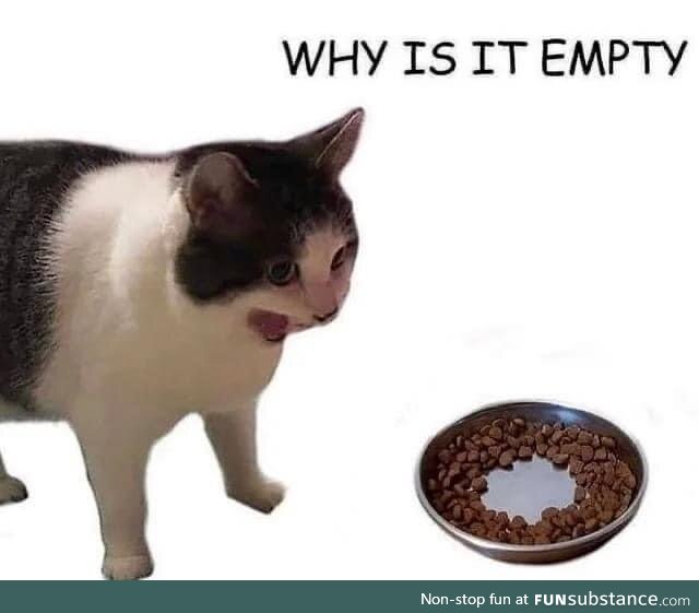 Why is it empty?