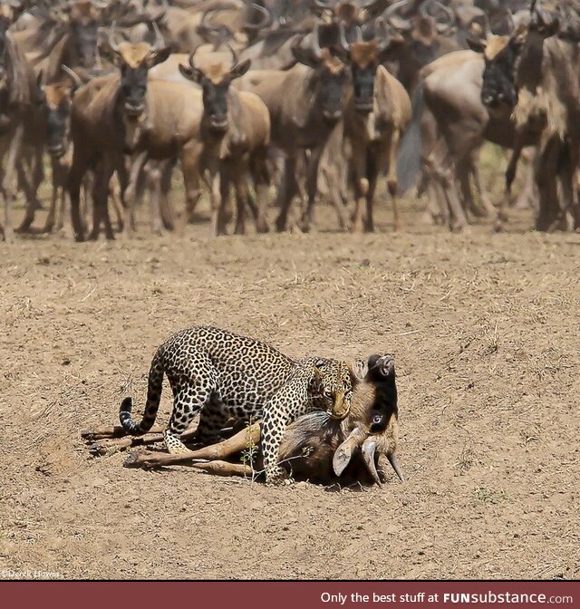 Guys watching their drunk friend going home with a cougar