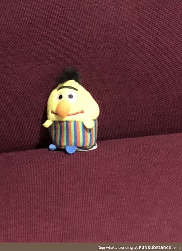 My new Bert doll <3