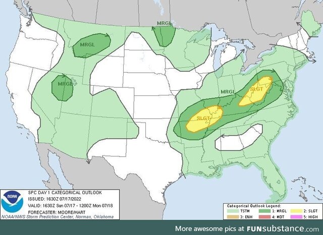 Today's Forecast: Ninja Turtles