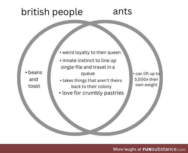 Brits vs Ants