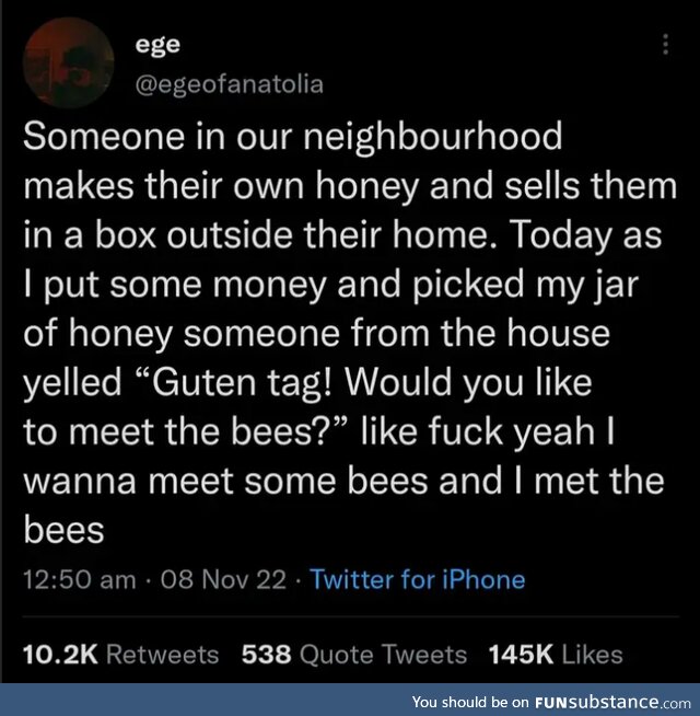 Bees!