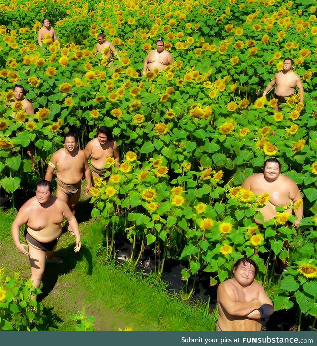 Japanese men doing hard labor after recovering from WWII circa 1950