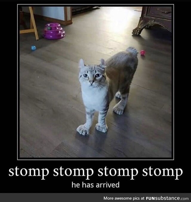 *stomp stomp*