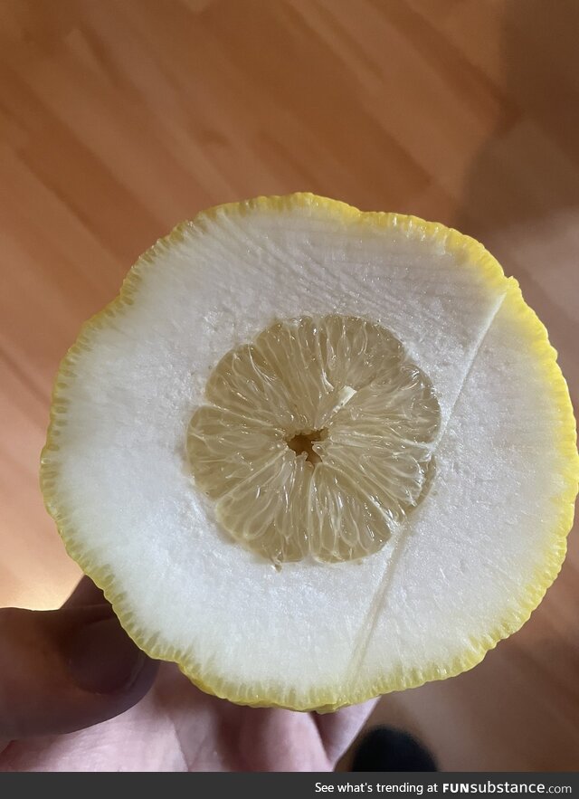 When life gives you lemons...