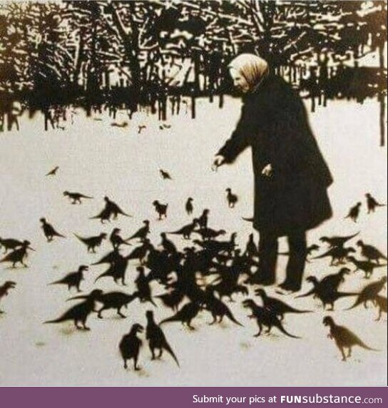 Woman feeds chickens in Chernobyl