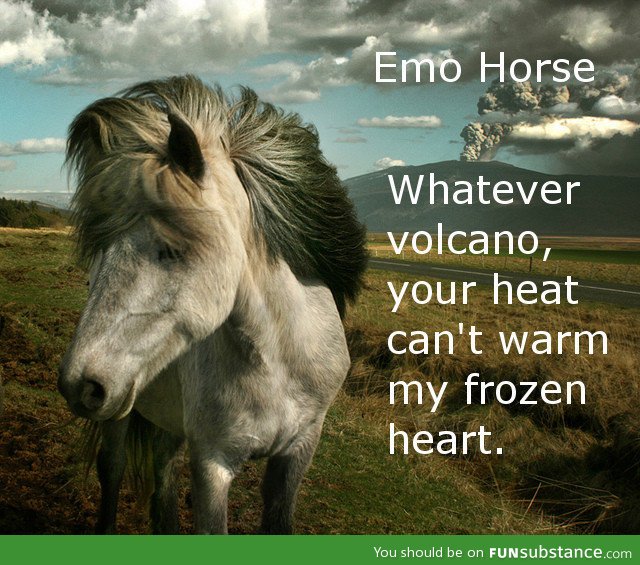 Emo horse