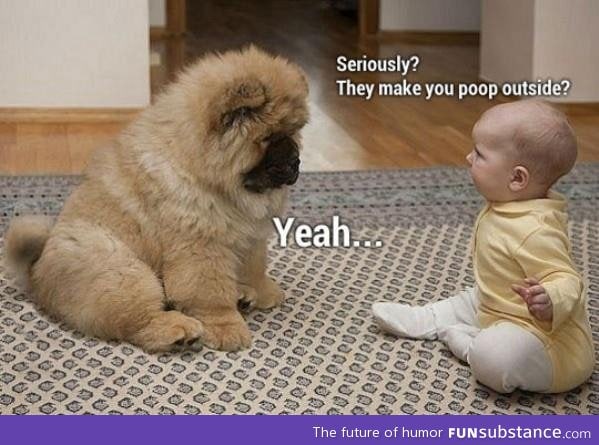 Baby VS Dog