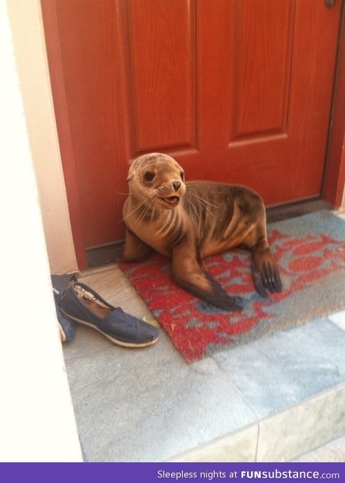 Excuse me, do you have a moment to talk about our lord, poseidon?