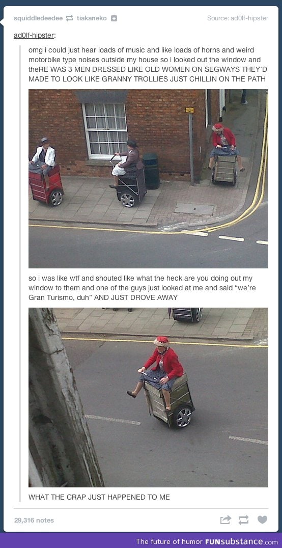 Segway guys