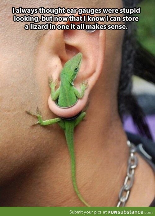 Ear gauges just got a lot better