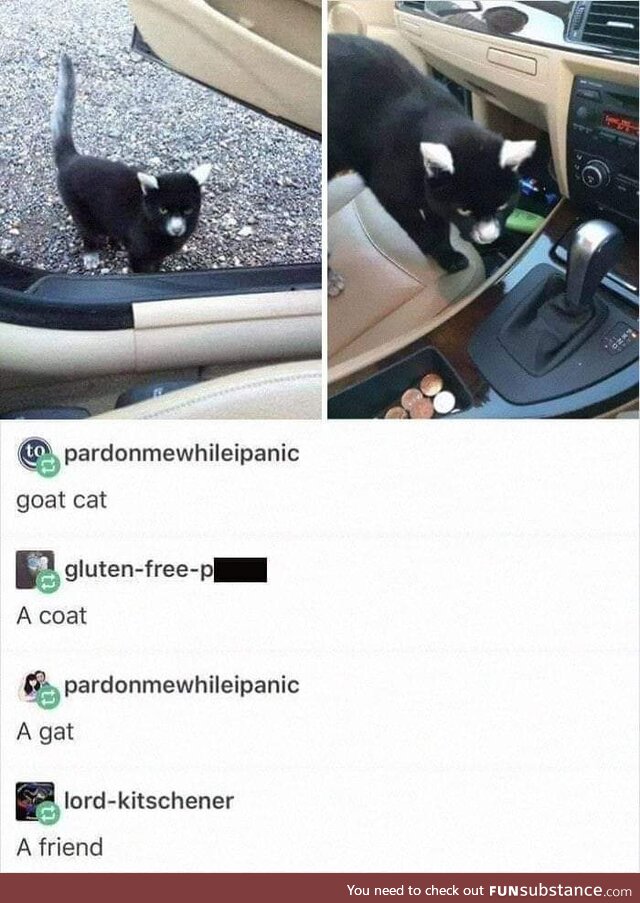 A coat