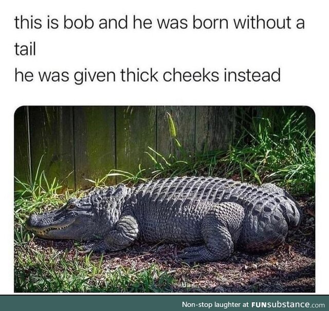 Croc cheeks