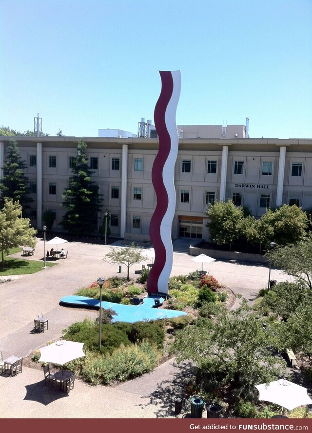 A stupid statue we can all agree on: "Bacon & Eggs" at Sonoma State