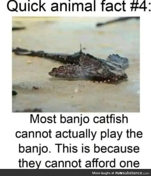 You can donate by throwing your banjo in a swamp