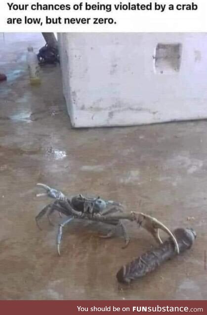 Mr.Crabs noo