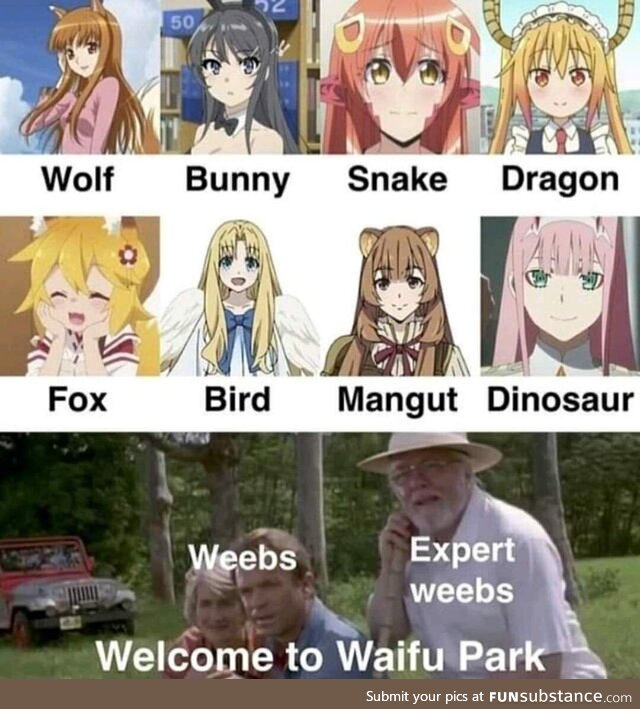 Waifu styles