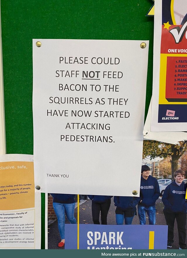 The squirrel uprising has begun! 