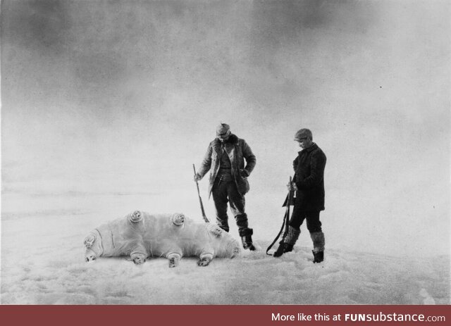 In 1918 the last of the Grande Tardigrade's fell silent forever