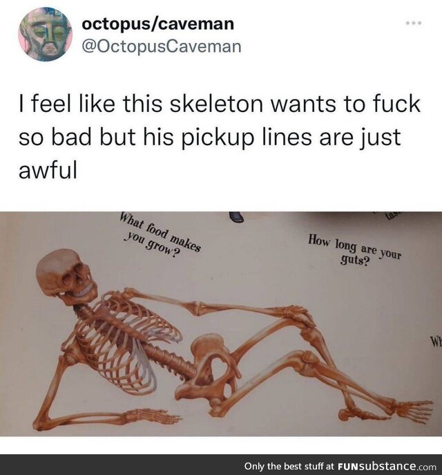 Mr bones