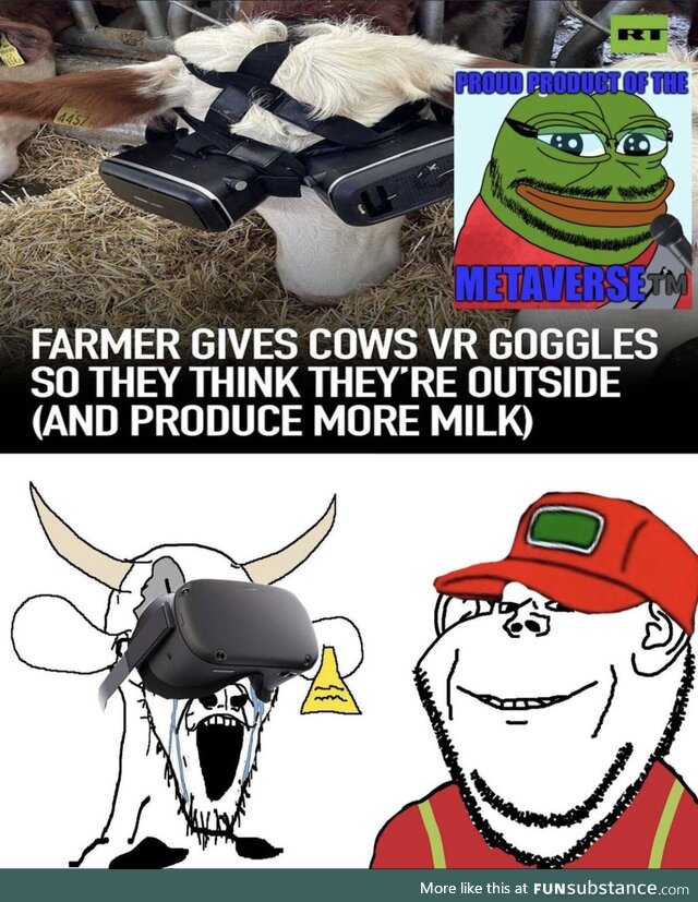 Cows vr 2