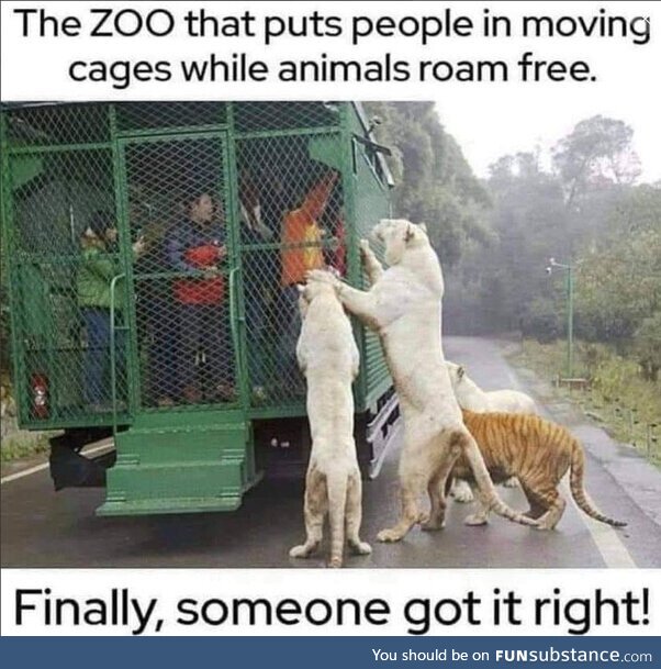 The human zoo