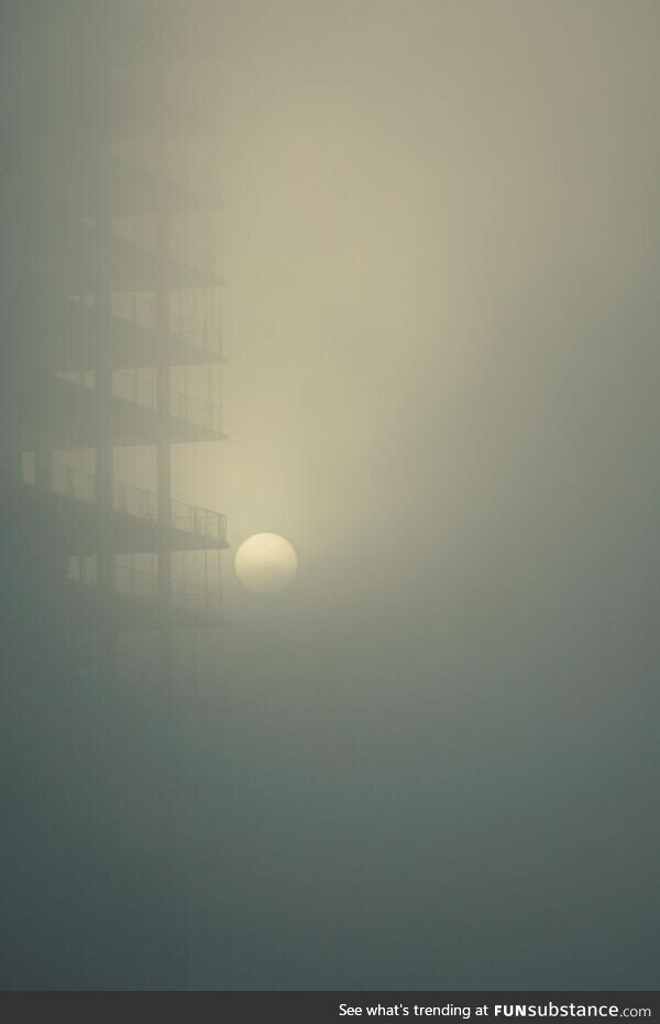 The Sun looking almost Lunar in the fog yesterday