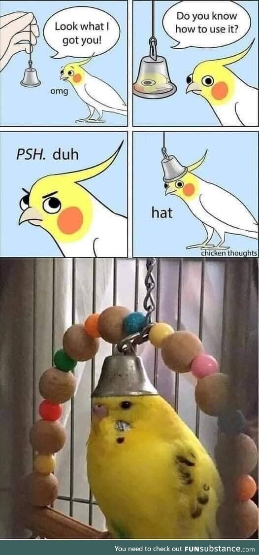 Birb hat