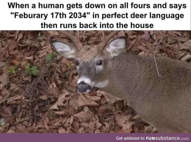 Deer can be schizo too