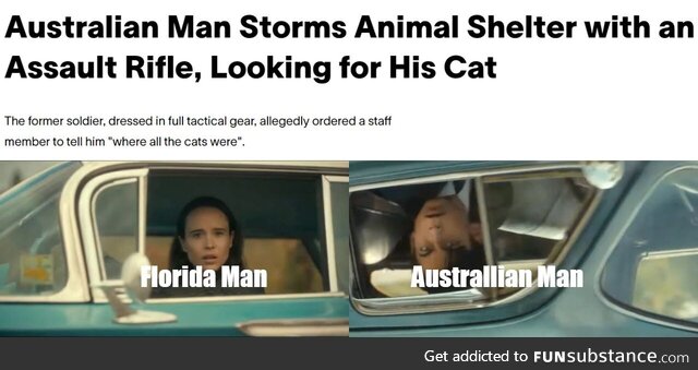 Found this Article While Looking for Cat Guns