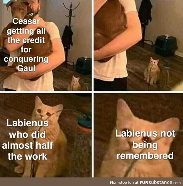 Labienus was Ceasar's right hand man and without him, Ceasar would've had a MUCH harder