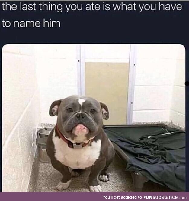 The last thing you ate is what you have to name him