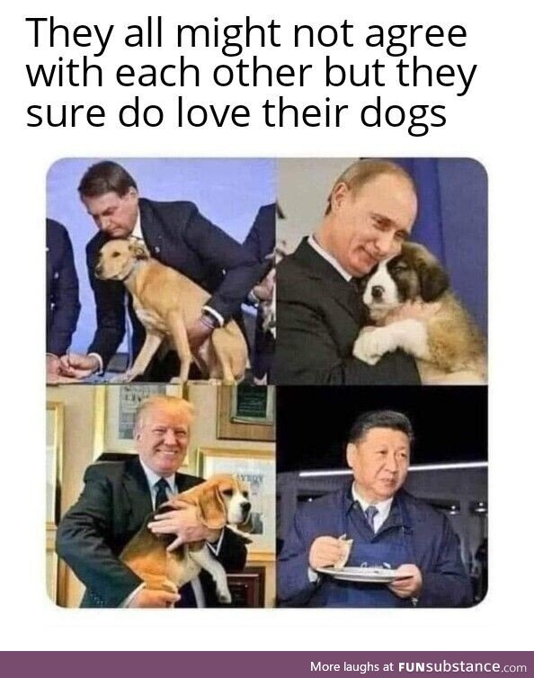 Dogs are life