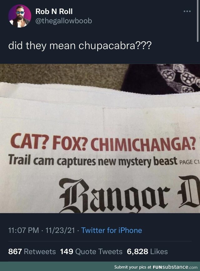 Chimichanga??