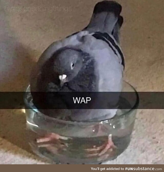 WAP