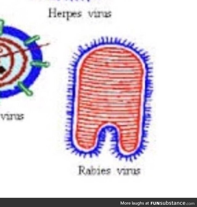 Biology just fuсkin with us